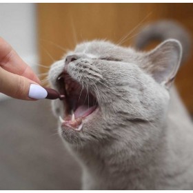 UrinoVet Cat Dilution 45 kapsułek VetExpert
