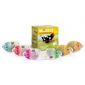 Lucky Lou Mausle MultiPack 6 x 28g/20ml Lucky Lou