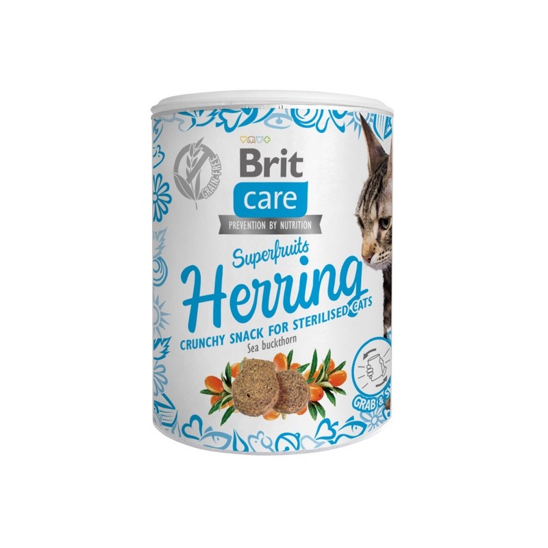 Brit Care Cat Snack Superfruits Herring 100g Brit
