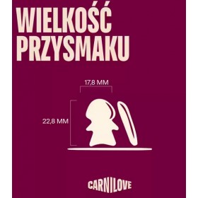 Carnilove Cat Crunchy Snack Salmon 50g Carnilove