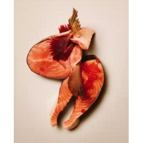 Carnilove Cat Crunchy Snack Salmon 50g Carnilove