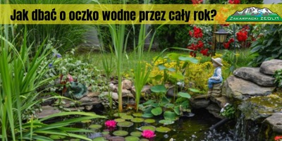 Jak dbać o oczko wodne przez cały rok?