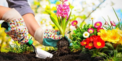 Jak dbać o ogród latem?