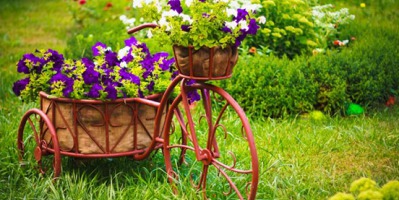 Zadbaj o swoje kwiaty z zeolitem