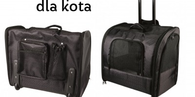 Wygodny i bezpieczny transporter dla kota – torba na kółkach
